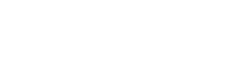 Oracle Netsuite logo